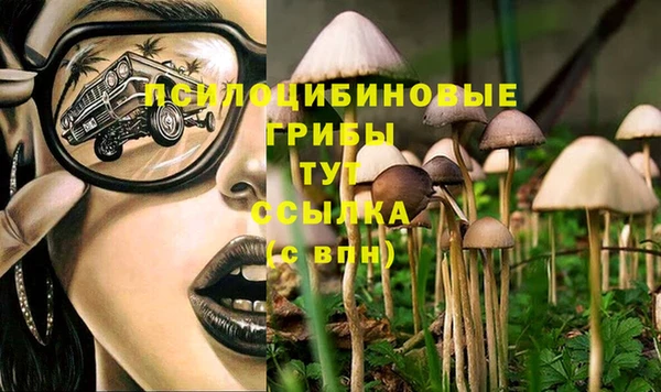 соль курить ск Няндома