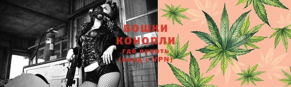 тгк Видное