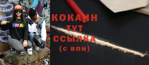 дживик Осинники