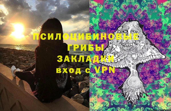 ГАЛЛЮЦИНОГЕННЫЕ ГРИБЫ Инсар