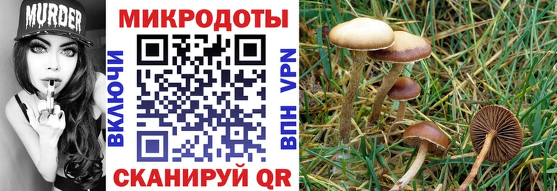 Галлюциногенные грибы мицелий Боготол