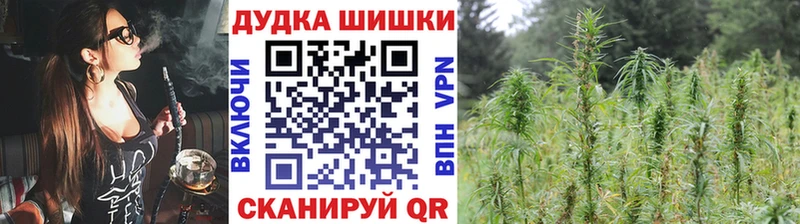 кракен как зайти как найти Боготол Конопля сатива